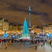 Norwegian Christmas Tree in London