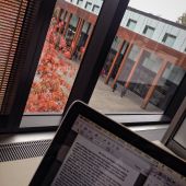 Studere business og ledelse i utlandet